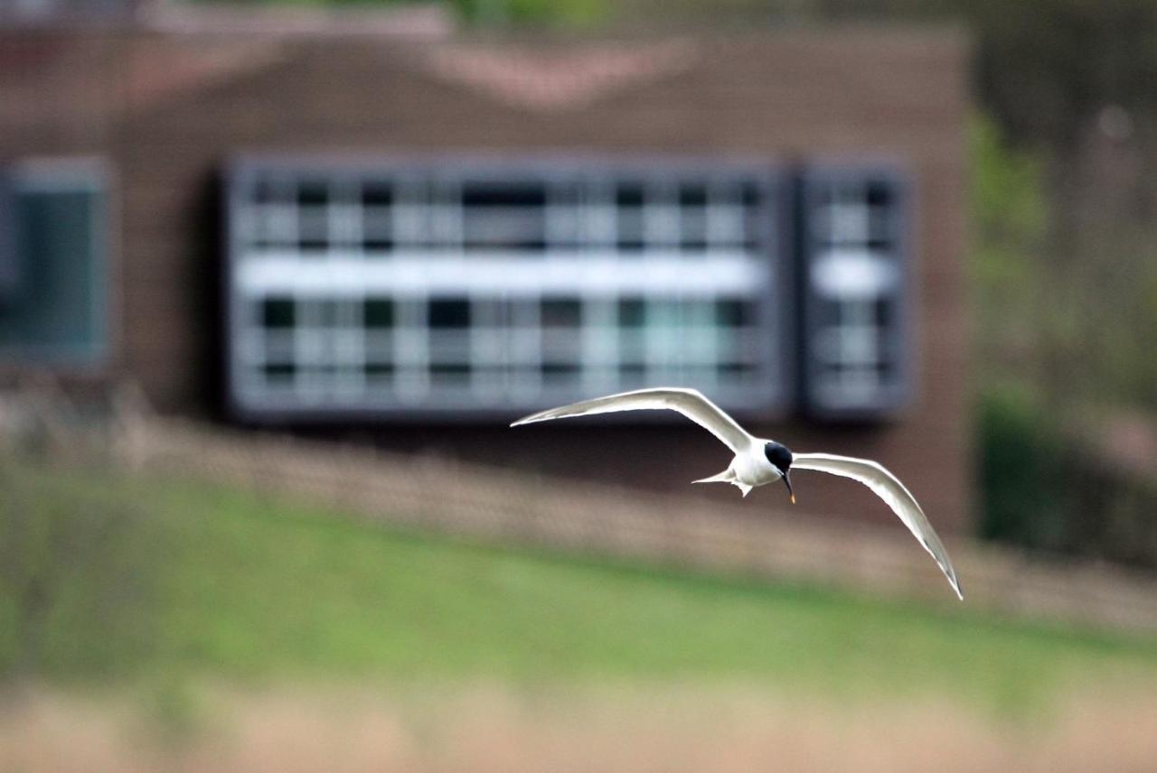 Urdaibai Bird Center Hotel Gautegiz Arteaga Kültér fotó