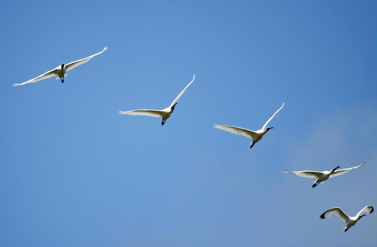 Urdaibai Bird Center Hotel Gautegiz Arteaga Kültér fotó