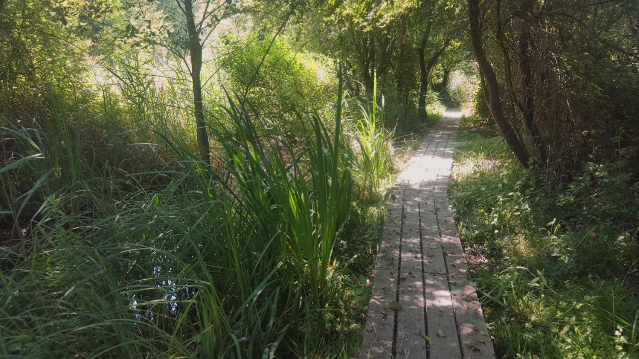 Urdaibai Bird Center Hotel Gautegiz Arteaga Kültér fotó