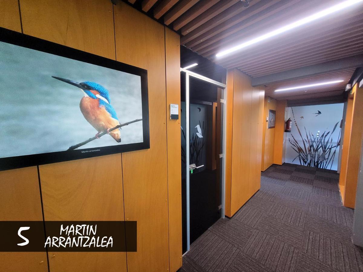 Urdaibai Bird Center Hotel Gautegiz Arteaga Szoba fotó